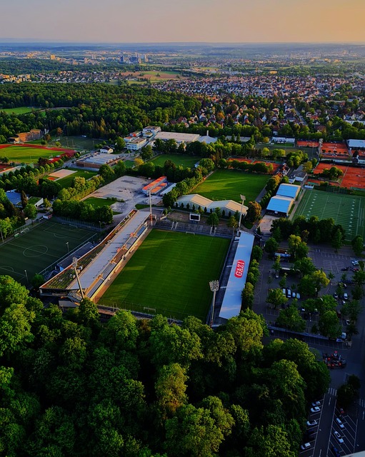 可以在职业 可以在职业