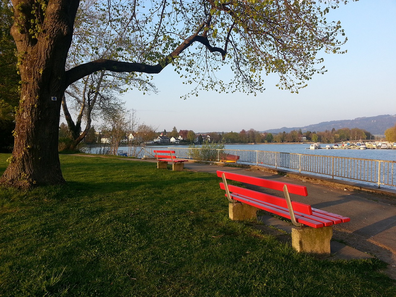 英超冠军 英超冠军